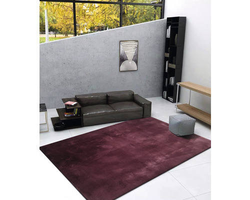 Wohnzimmer mit Sofa, Bücherregal und bordeauxfarbenem Teppich