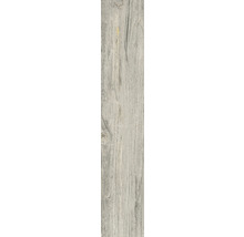 Feinsteinzeug Wand- und Bodenfliese Notta Silver 11 x 60 x 0,8 cm matt-thumb-10