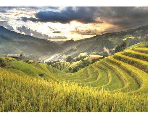 Landschaft mit Reisterrassen, Bergen und einem kleinen Haus