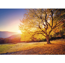 Wandtuch Goldener Baum 224x160 cm