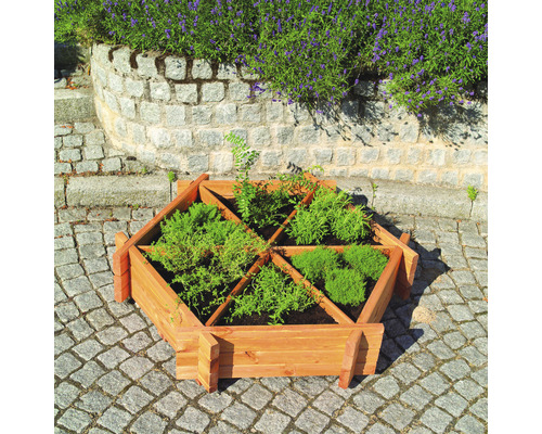 Hochbeet, Kräuterbeet promadino Julia inkl. Folie 111 x 111 x 27 cm honigbraun Sechseckiges Hochbeet aus Holz mit Pflanzen auf gepflastertem Untergrund