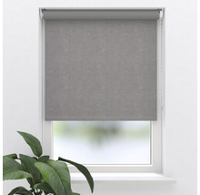 Graues Rollo am Fenster mit Zimmerpflanze