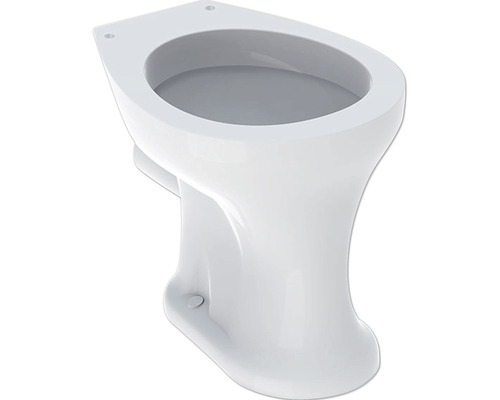 Stand-WC GEBERIT Kind Bambini Flachspüler mit Spülrand weiß ohne WC-Sitz 211500000