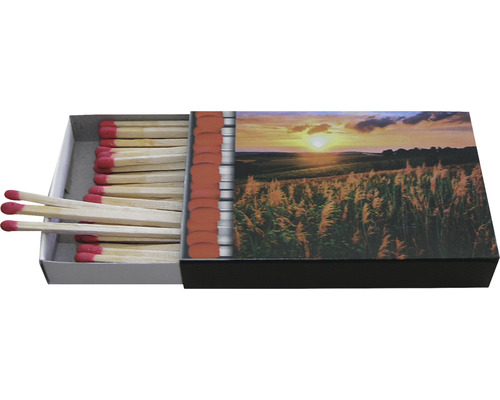 Streichholzschachtel mit Landschaftsmotiv und Zündhölzern