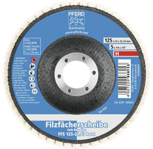 Reinigungsscheibe Hart PFERD Ø 125x22,23 mm