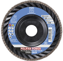 Schleifmopteller Fächerscheibe PFERD SG POWER TRIM STEELOX Stahl/Inox Ø 125x22,23 mm Korn 40