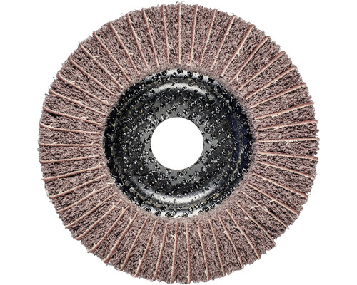 Fächerschleifscheibe