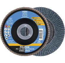 Schleifmopteller Fächerscheibe PFERD PSF STEELOX Stahl/Inox Ø 125x22,23 mm Korn 60