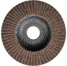 Reinigungsscheibe PFERD PNZ Ø 115x22,23 mm Korn 180