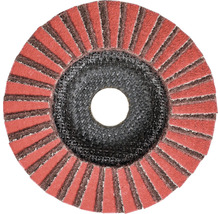 Reinigungsscheibe PFERD PVZ Kreamik Ø 125x22,23 mm Korn CO-COOL 80/A 180 M