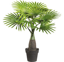 Künstliche Fächerpalme im Topf