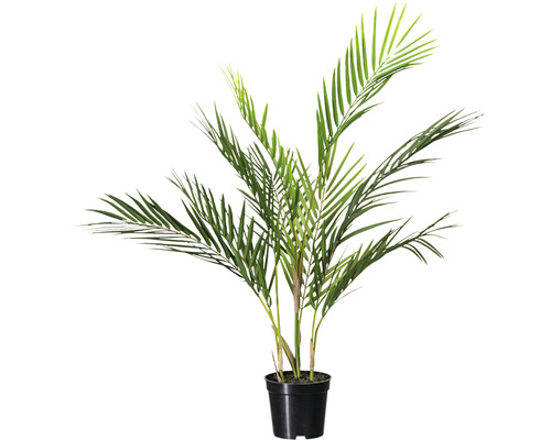 Lyrow Künstliche Eukalyptus-Pflanze Im Holz-Pflanzkasten – 2 Stück, Je 29x9,4x20 Cm, Pflegeleichte Deko