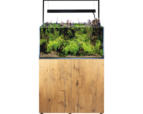 Komplettes Aquarium mit Unterschrank und Bepflanzung