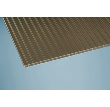 Doppelstegplatte aus Polycarbonat