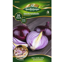 Verpackung rote Steckzwiebeln Red Emperor