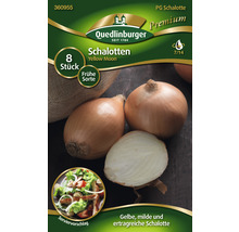 Quedlinburger Schalotten Yellow Moon, 8 Stück, frühe Sorte