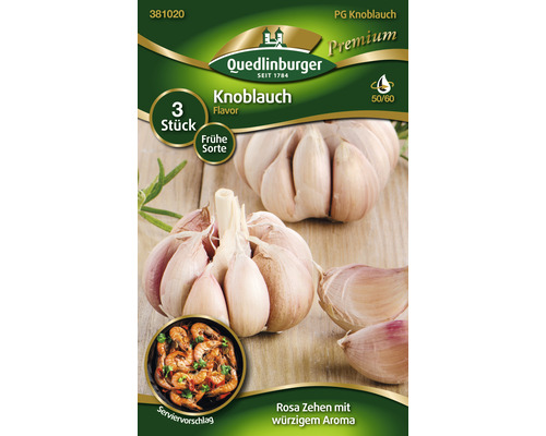 Steckzwiebel Quedlinburger Knoblauch 'Premium Flavor ' 3 Stk. frühe Sorte rosa