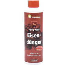 Eisenblattdünger in einer 250 ml Flasche für Zierpflanzen, Gehölze und Rasen