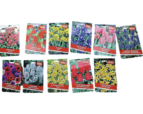 Verschiedene Blumenzwiebeln in Verpackungen für den Garten.