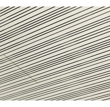 Deckenpaneel mit linearem Design