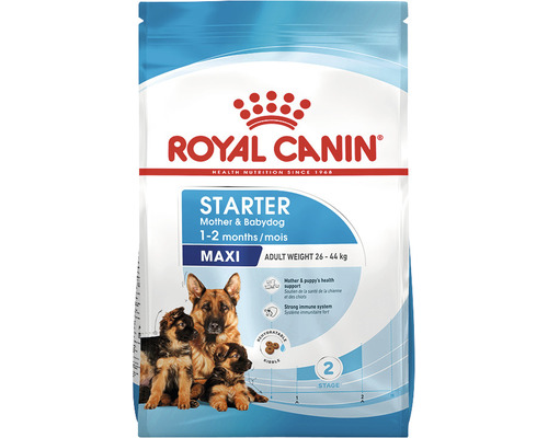 Hundefutter trocken ROYAL CANIN Maxi Starter für tragende Hündin und Welpen großer Rassen 15 kg