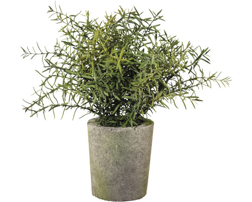 Kunstpflanze Rosmarin im Zementtopf Ø 15 cm Höhe: 30 cm grün