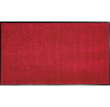 Roter Teppich