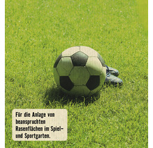 Fußball und Fußballschuhe auf Rasen