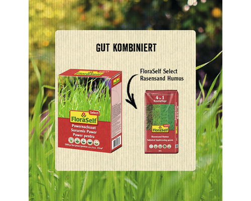 Produktkombination mit Floraself Rasensamen und Rasensand Humus