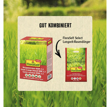 FloraSelf Strapazierrasen RSM 2.3 und FloraSelf Select Langzeit-Rasendünger im Set
