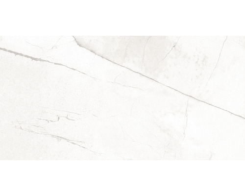 Feinsteinzeug Wand- und Bodenfliese Serrenti 60,6 x 120,6 cm 9 mm weiß matt rektifiziert-0