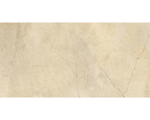 Feinsteinzeug Wand- und Bodenfliese Serrenti 30,6 x 60,6 cm 9 mm beige matt rektifiziert