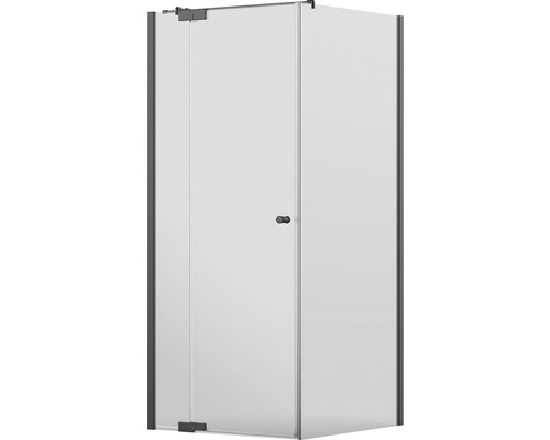 Eckdusche mit Glastür und Griff