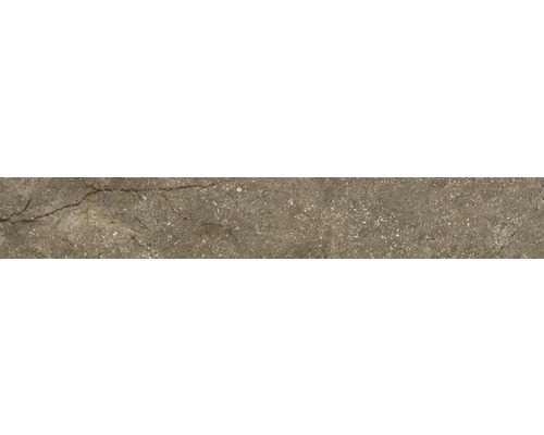 Sockel Wells moka matt 9x60cm