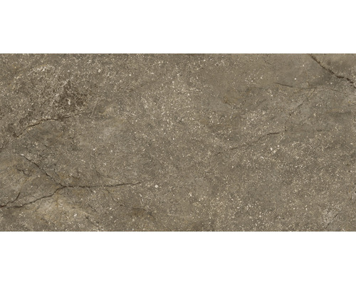 Wand- und Bodenfliese Wells moka matt 30x60cm Wand- und Bodenfliese Wells moka matt 30x60cm