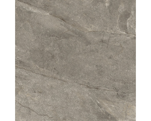 Wand- und Bodenfliese Wells moka matt 120x120cm Wand- und Bodenfliese Wells moka matt 120x120cm