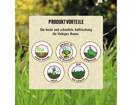 Produktvorteile: Schnelle Keimung, geeignet für alle Rasentypen, pflegeleicht, robust, dicht und sattgrün.