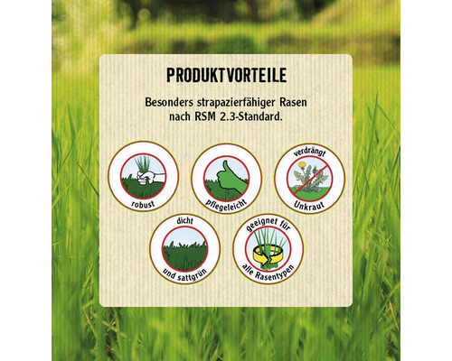 Produktvorteile: Strapazierfähiger Rasen nach RSM 2.3-Standard, robust, pflegeleicht, verdrängt Unkraut, dicht und sattgrün, geeignet für alle Rasentypen.