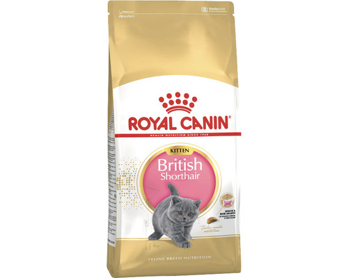 Katzenfutter trocken ROYAL CANIN Kitten British Shorthair für BKH Kätzchen10 kg