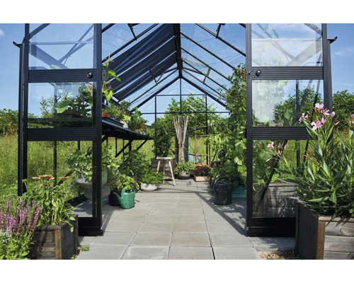 Gewächshaus mit Pflanzen und Gartenwerkzeugen