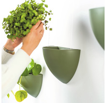 Aufhängezubehör Hängeblumentopf Botaniq 1,25 l grün