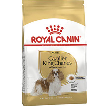 Royal Canin Adult Hundefutter für Cavalier King Charles Spaniel