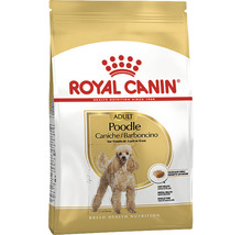 Hundefutter trocken, ROYAL CANIN Poodle 30, Pudel 0,5 kg