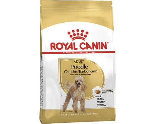 Hundefutter trocken, ROYAL CANIN Poodle 30, Pudel 0,5 kg Royal Canin Adult Poodle Hundefutter für erwachsene Pudel