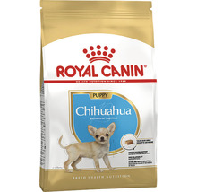 Royal Canin Chihuahua Puppy Trockenfutter für Hunde