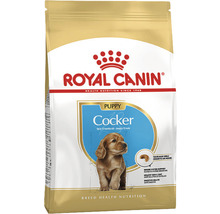 Royal Canin Welpenfutter Cocker für Hunde bis 12 Monate