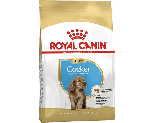 Hundefutter trocken, ROYAL CANIN Cocker Junior 3 kg Royal Canin Welpenfutter Cocker für Hunde bis 12 Monate