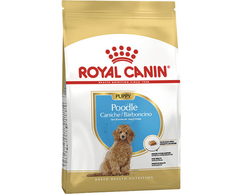 Hundefutter trocken, ROYAL CANIN CC Poodle Junior, 3 kg Royal Canin Poodle Puppy Hundefutter Verpackung