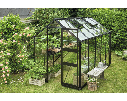 Gewächshaus mit Pflanzen im Garten