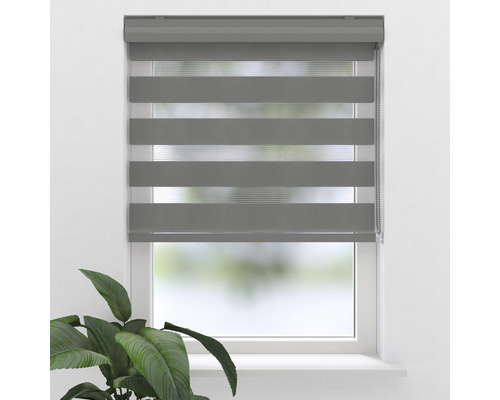 SOLUNA Doppelrollo D-R4 mit farblich abgestimmter Mechanik grau 60x175 cm Graues Doppelrollo am Fenster zur Lichtregulierung